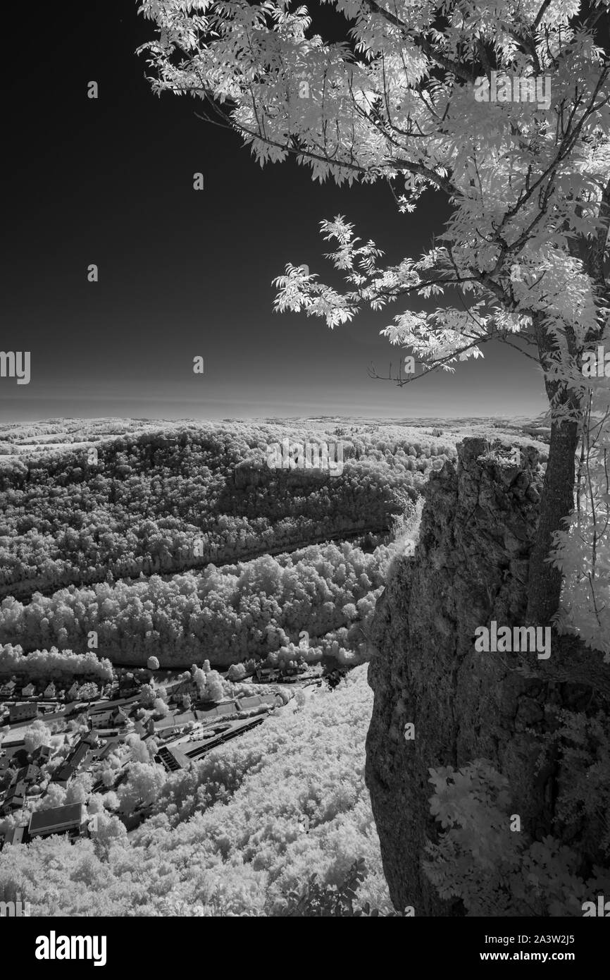 Rock and tree in black and white infrared Stock Photo