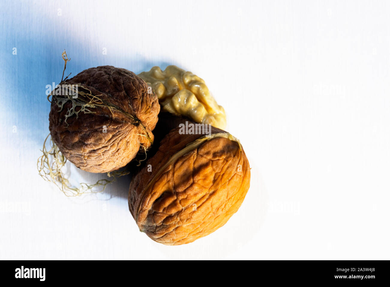 Walnuts on white wooden table Stock Photo