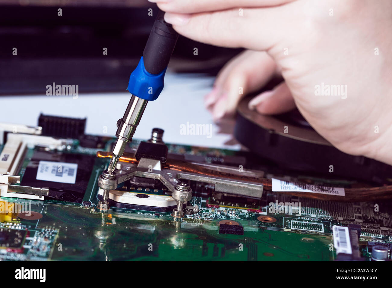 Woman engineer replace cpu from notebook motherboard Stock Photo