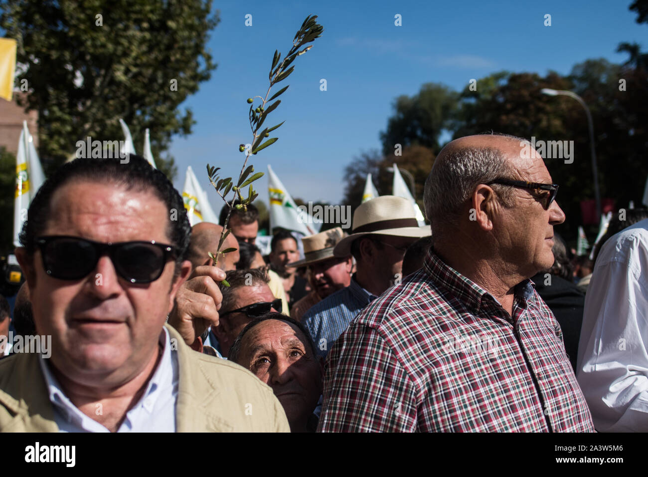 Madrid, Spain. 10th October, 2019. A man carrying a brach with olives during a demonstration. Olive oil producers march to the Agriculture Ministry to denounce low prices of olive oil and against the 25 percent tariff that Spanish olives and olive oil will face in the United States. Credit: Marcos del Mazo/Alamy Live News Stock Photo