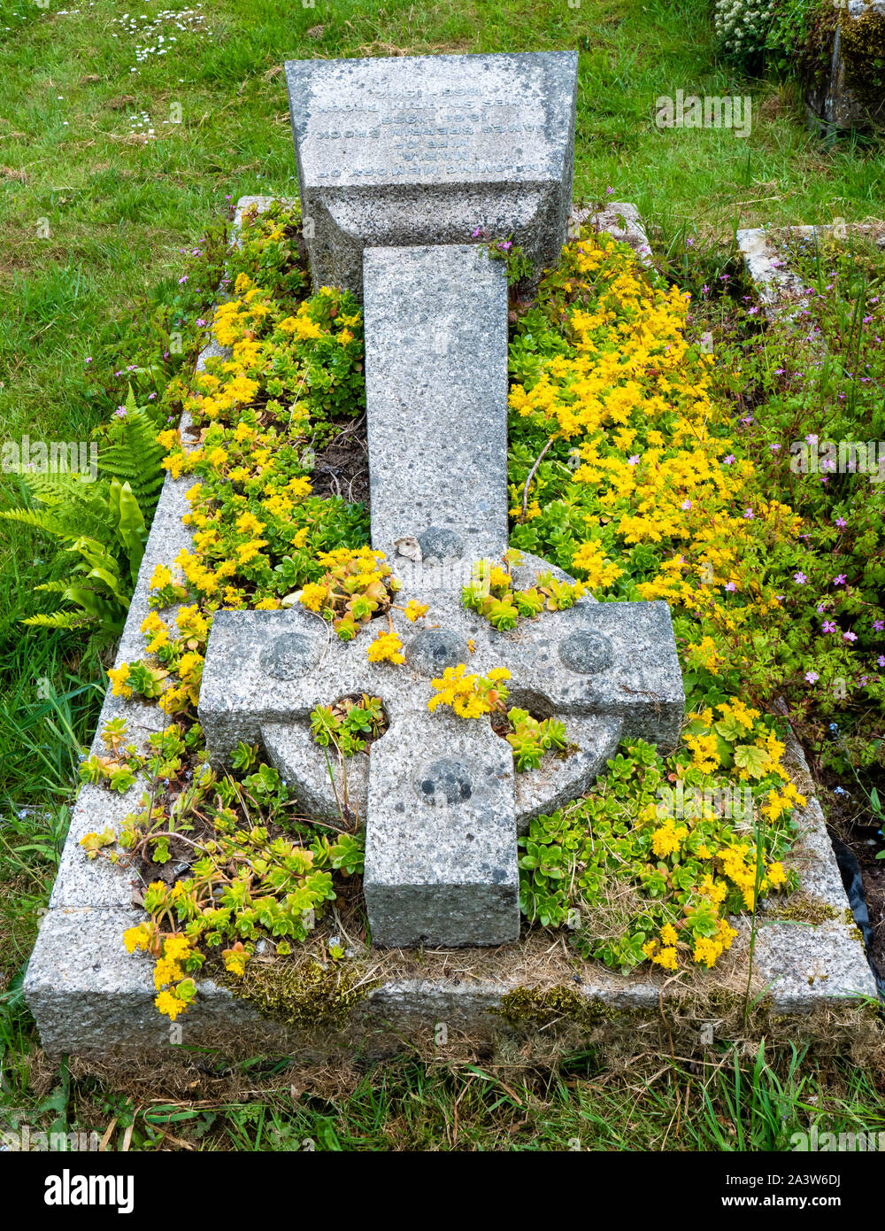 Fallen memorial cross on grave planted with yellow sedum at St Michael's parish church flower graveyard Dundry village near Bristol in Somerset UK Stock Photo