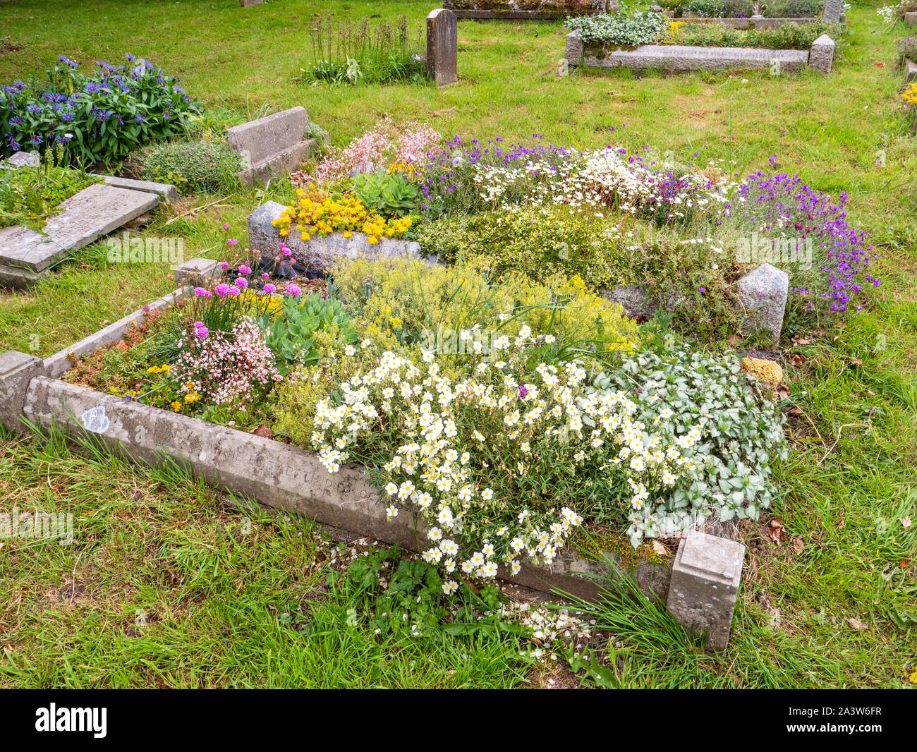 Flower graveyard planted to attract pollinators such as bees and butterflies at St Michael's parish church Dundry village near Bristol in Somerset UK Stock Photo