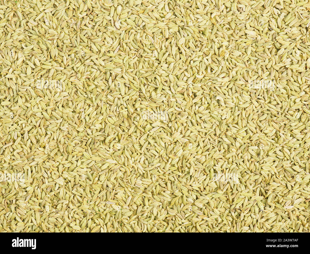 Background from Fennel. Indian cuisine ingredient Stock Photo Alamy