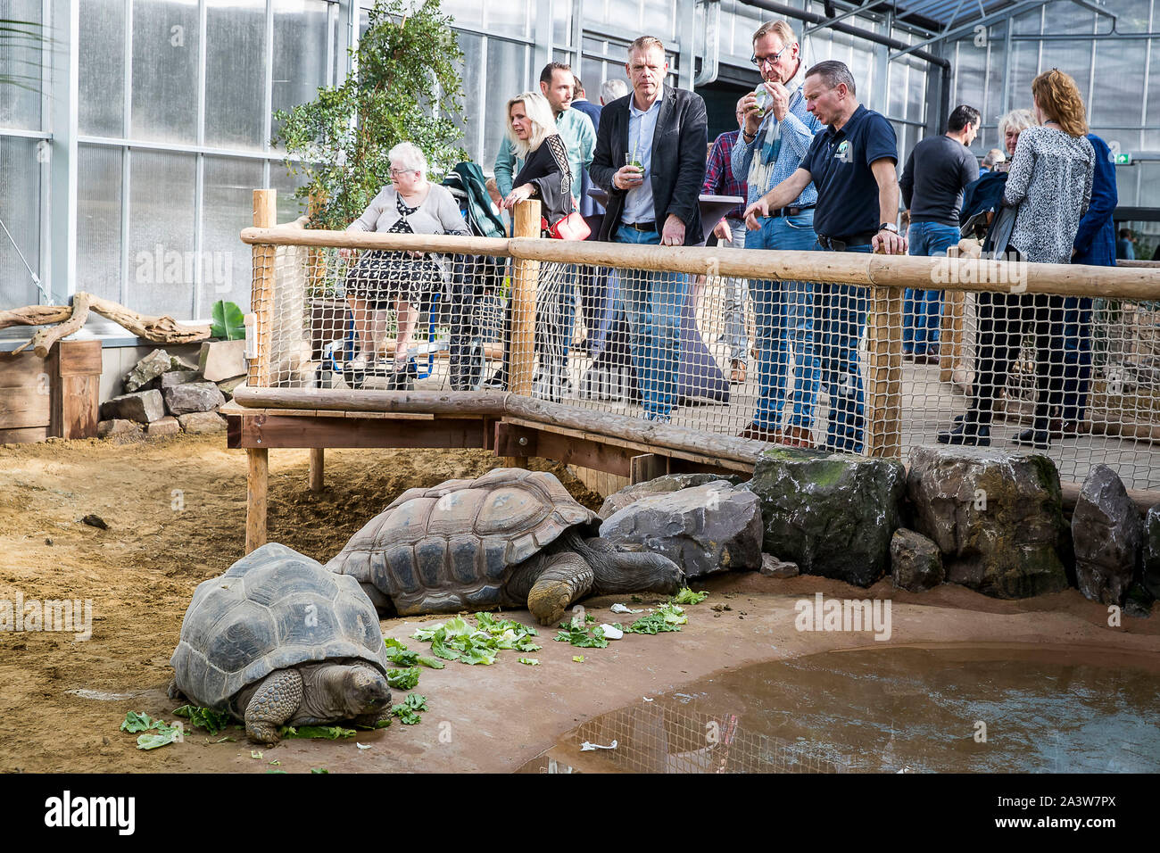 Ouwehands Zoo Stock Photos Ouwehands Zoo Stock Images Alamy