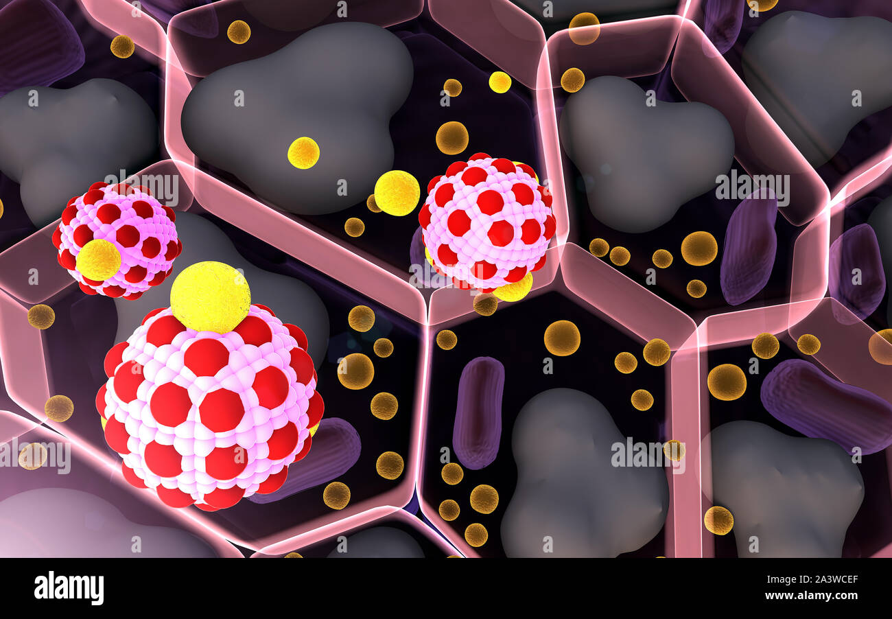 field of fat cells, High quality 3d render of fat cells, field of cells, structure of the molecule, receptors on the cells surface Stock Photo