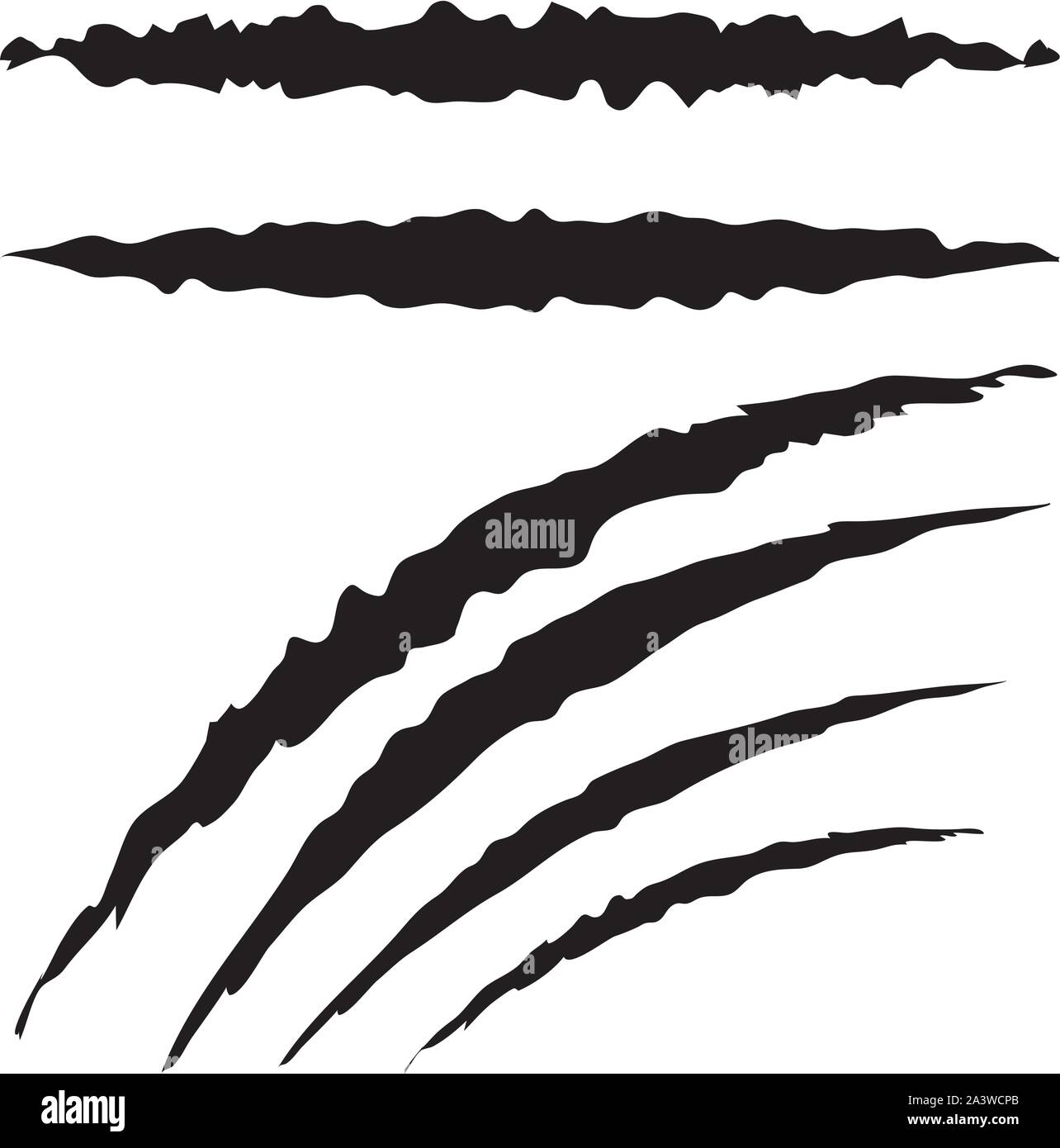 Cat claw scratches marks set on white background Stock Vector Image