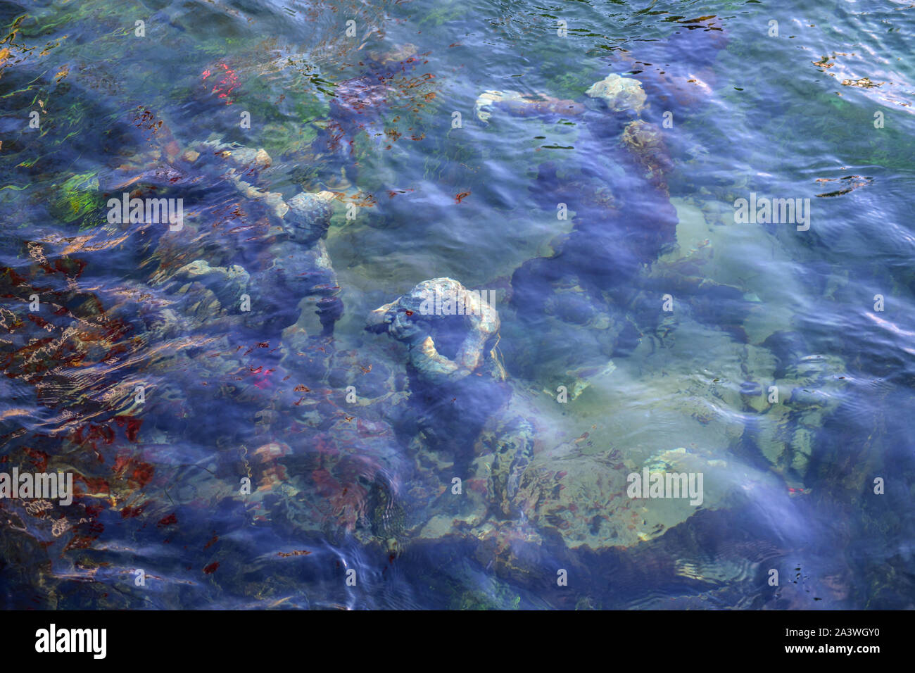 Denmark. Copenhagen. The Merman and his seven sons, belonging to the