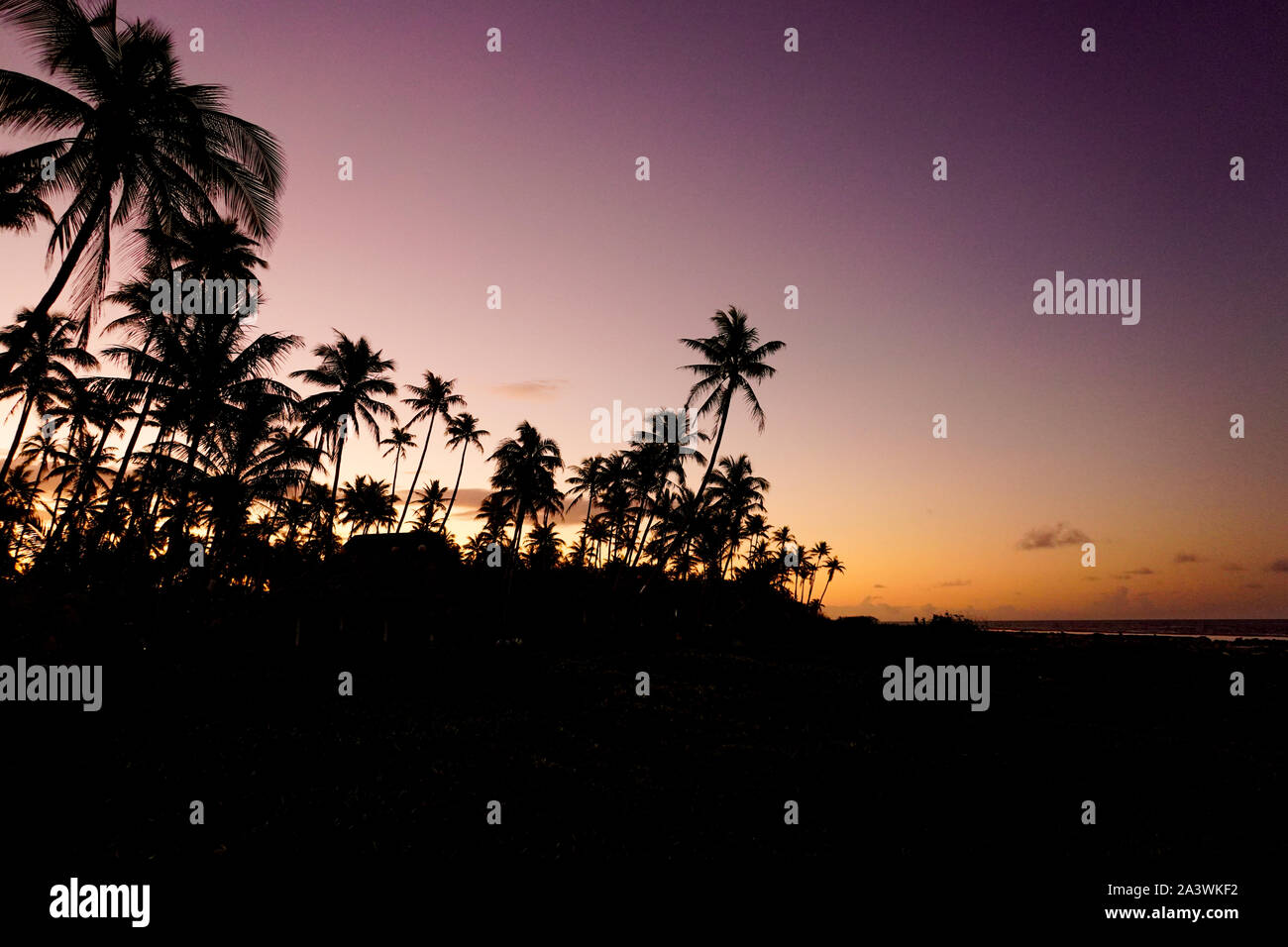 Silhouettes of tropical palm trees, bungalows and the ocean  in front of a colorful sunset on the island of Fakarava in French Polynesia Stock Photo