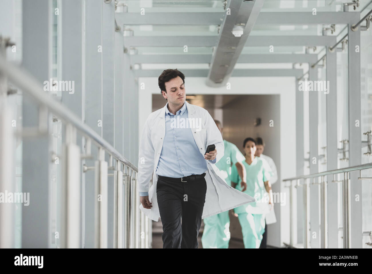 Portrait of Male Doctor walking through Hospital Stock Photo