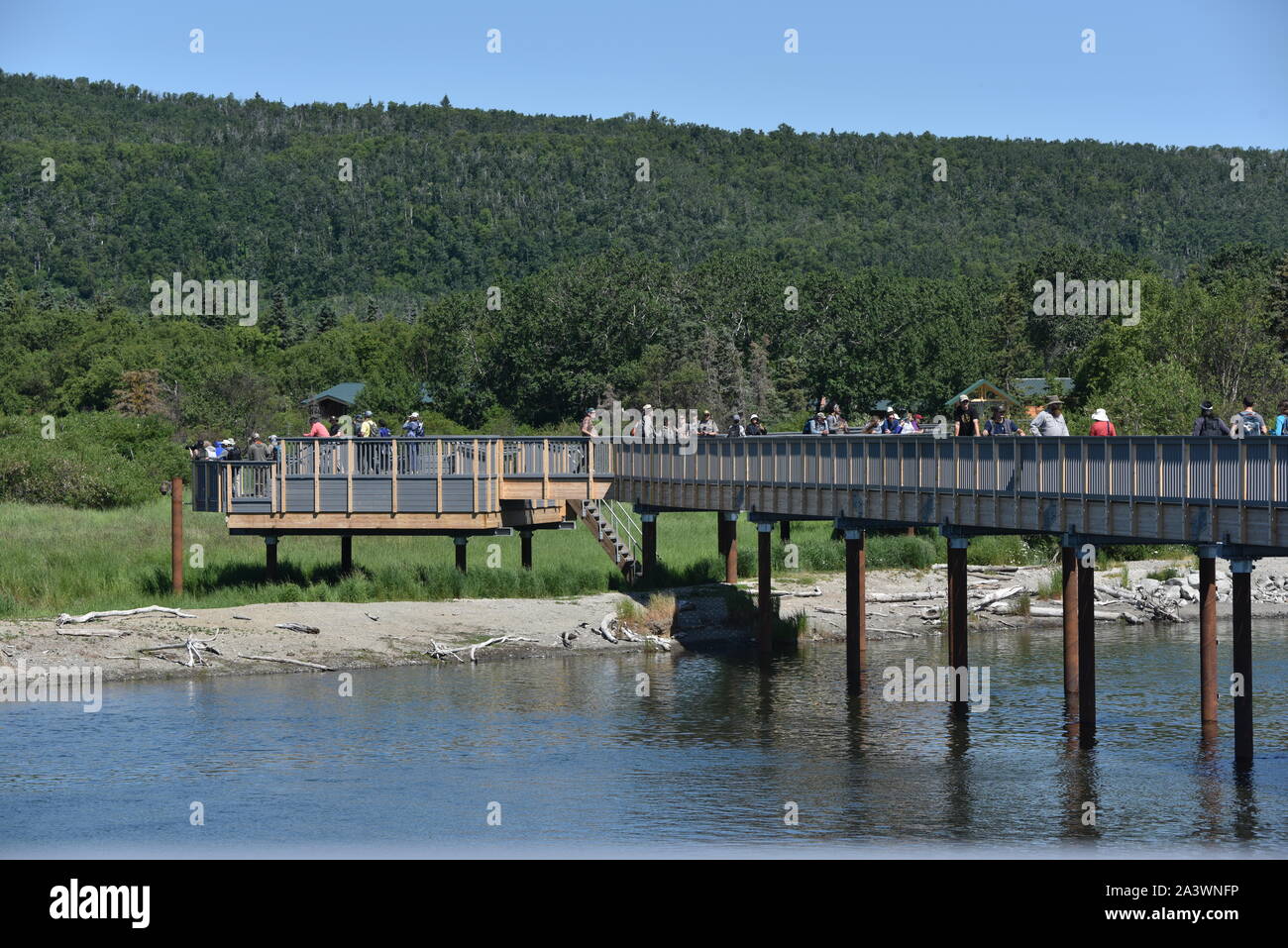 Katmai National Park Alaska U S A June 26 28 19 Brooks River Elevated Bear Viewing Platform New Bridge Is 1 0 Feet Long 8 To 10 Feet High Stock Photo Alamy Katmai National Park Alaska U S A June 26 28 19 Brooks River Elevated Bear Viewing Platform New Bridge Is 1 0 Feet Long 8 To 10 Feet High Stock Photo Alamy