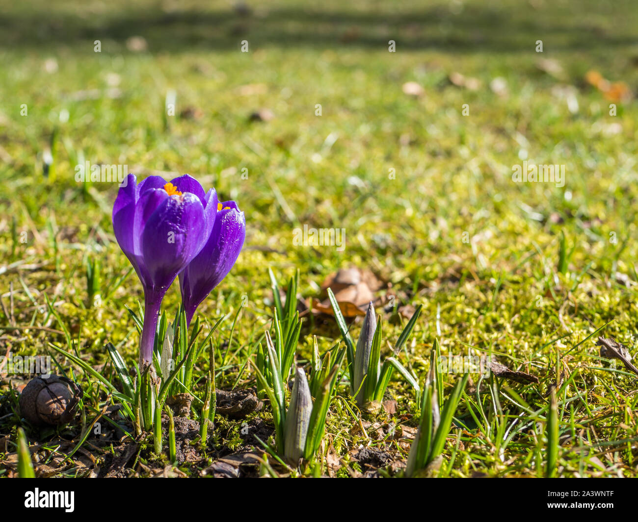 Spring symbol spring start hi-res stock photography and images - Alamy