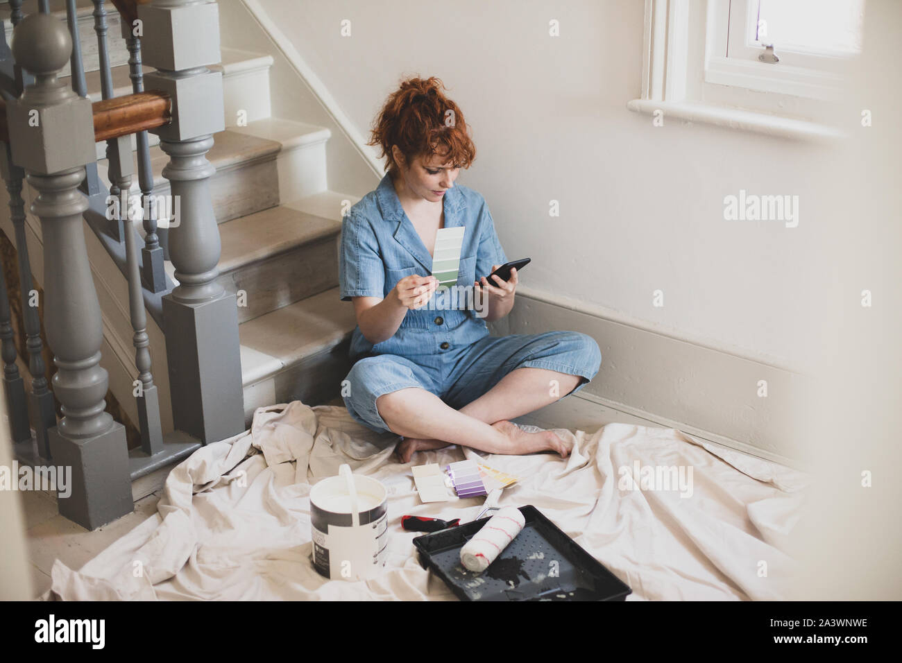 Female ordering paint on smartphone to decorate Stock Photo