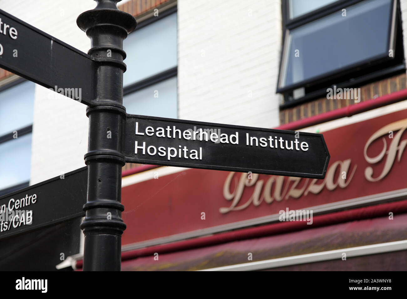 Leatherhead, Surrey, UK Ornate sign pointing to Leatherhead Institute