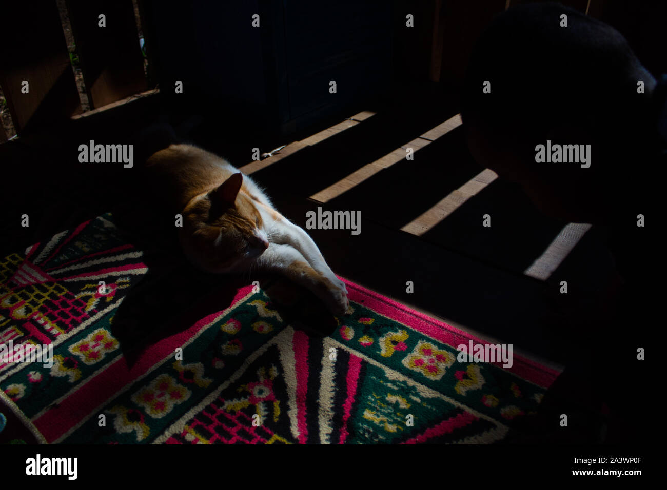 Bulu hires stock photography and images Alamy