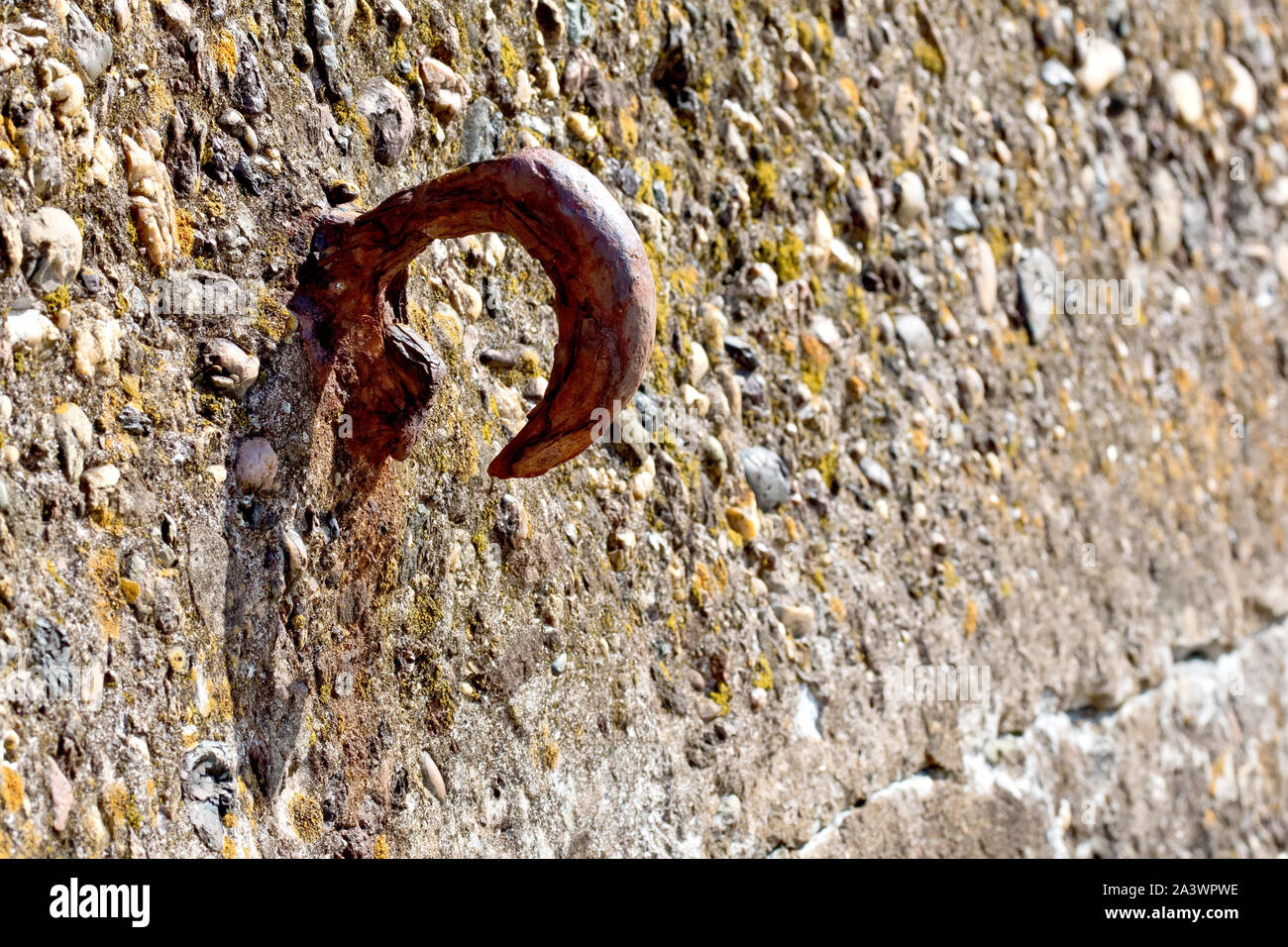 horseshoe iron ring