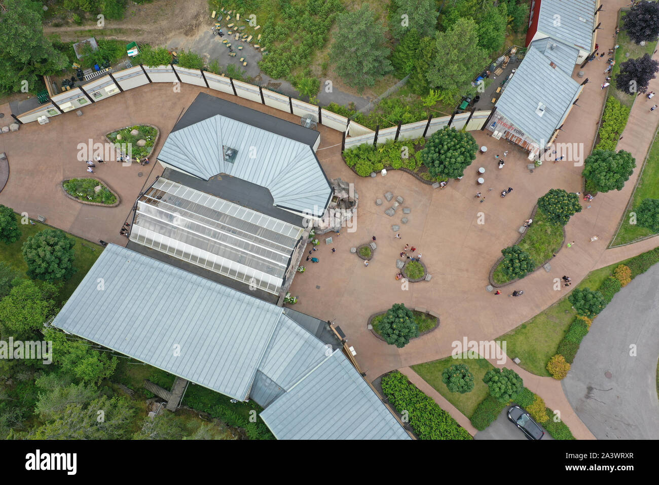 kolm-rden-20190718kolm-rdens-djurpark-kolm-rden-zoo-foto-jeppe