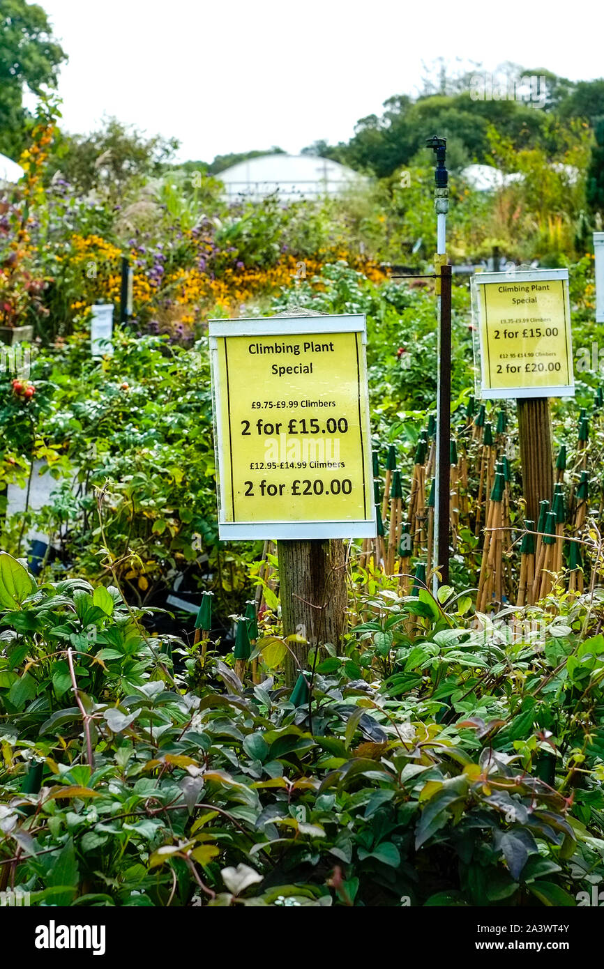 Garden centre garden center hi-res stock photography and images - Alamy