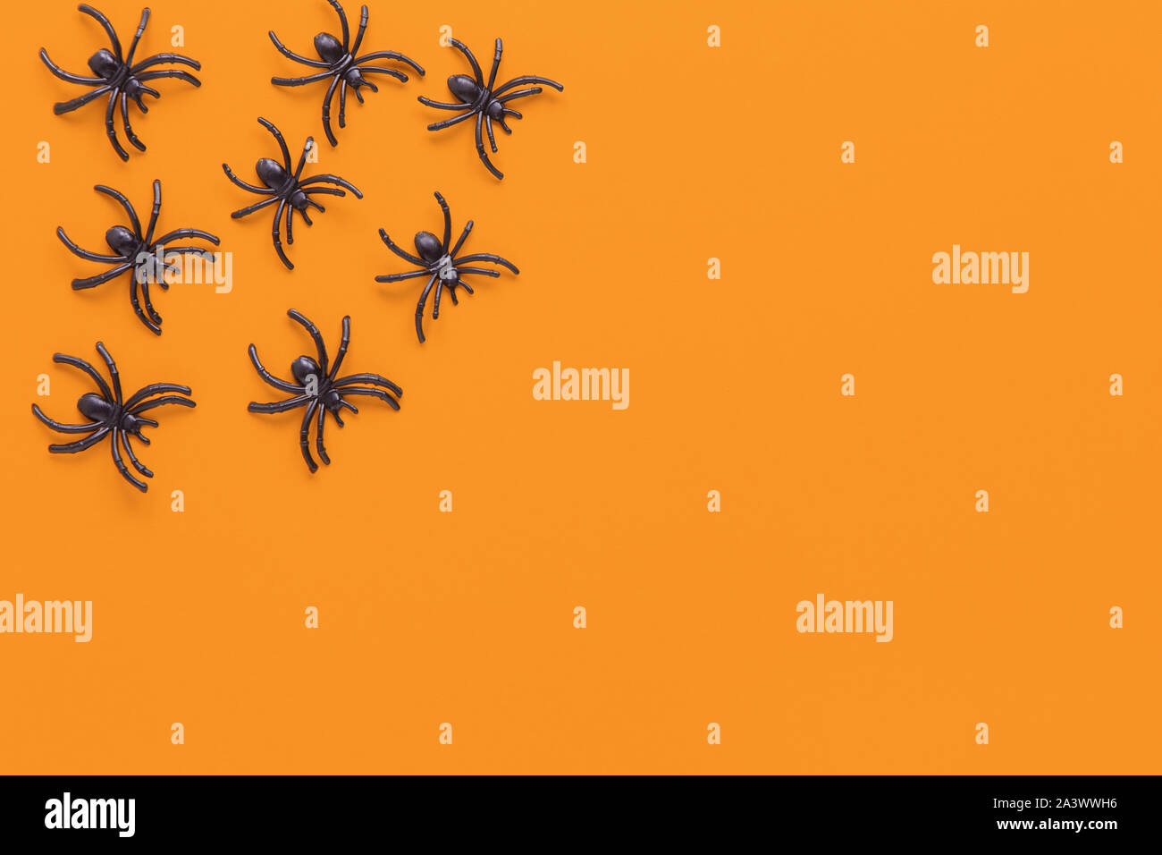 Halloween flat lay. Black spiders on orange background with copy space ...