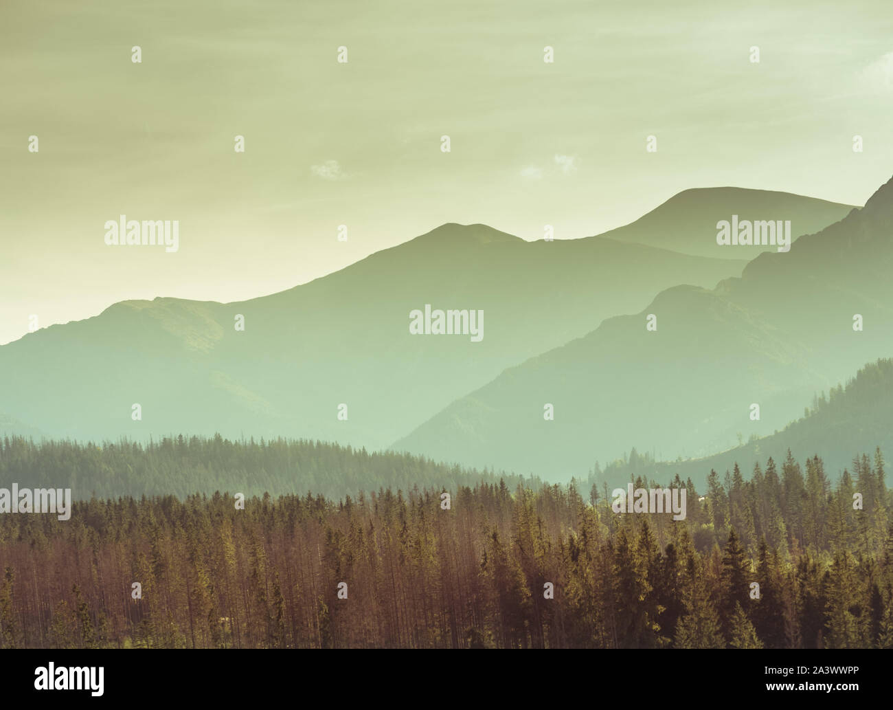 Misty mountain hills landscape hi-res stock photography and images - Alamy
