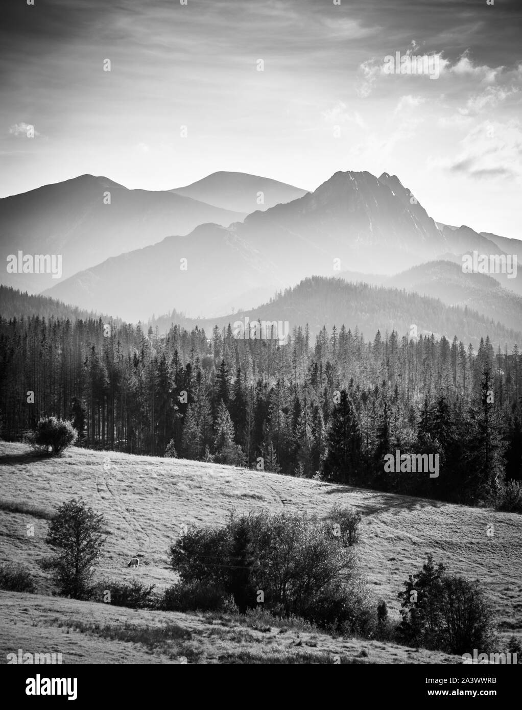 Countryside landscape carpathian mountains Black and White Stock Photos ...