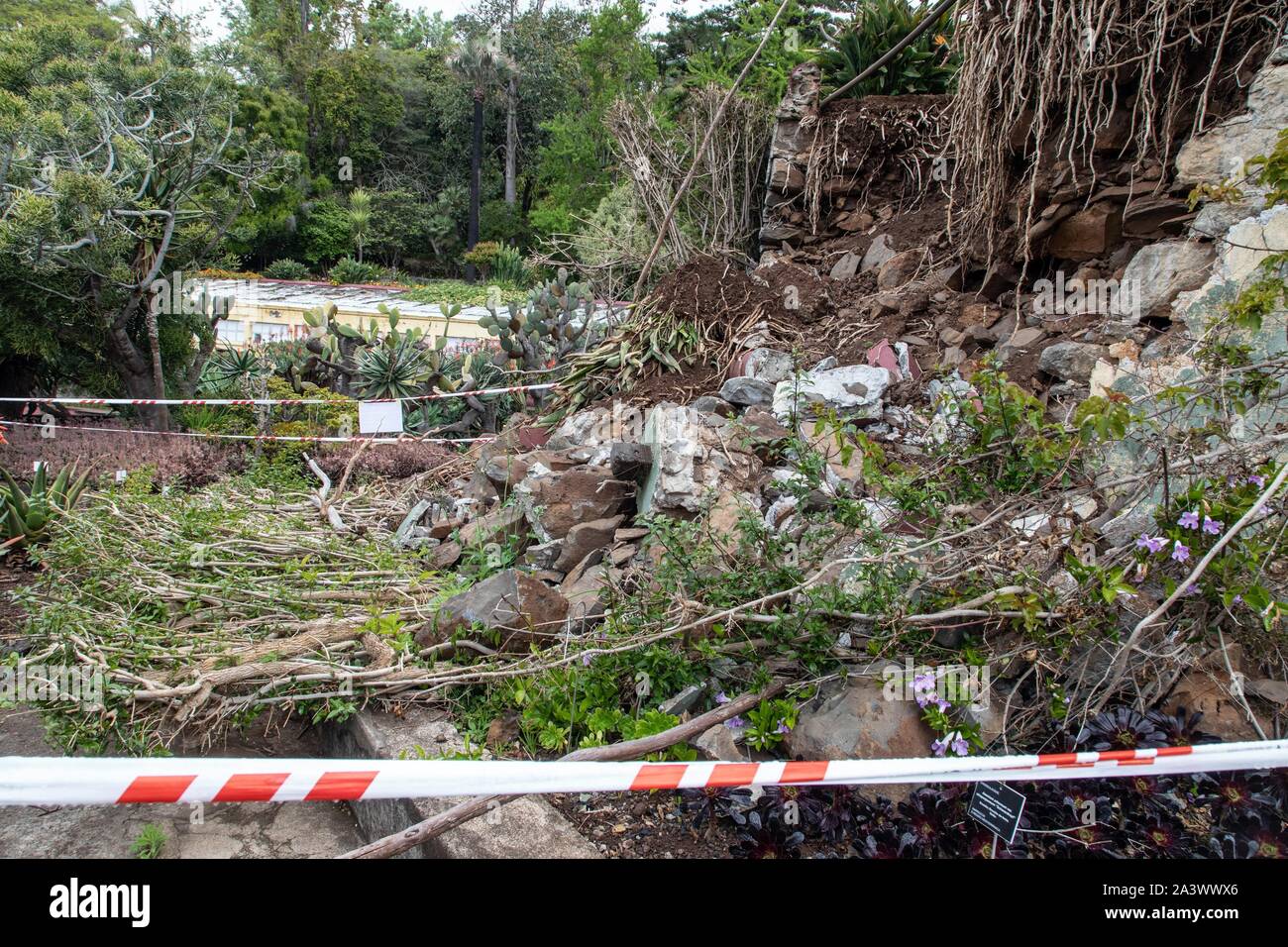 ZONE DEVASTATED BY BAD WEATHER, BOTANICAL GARDEN OF MADEIRA, FUNCHAL, ISLAND OF MADEIRA