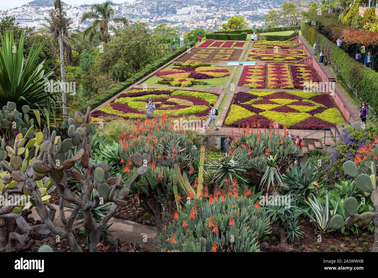 FLOWERBED, GEOMETRIC FORMS, BOTANICAL GARDEN OF MADEIRA, FUNCHAL, ISLAND OF MADEIRA, PORTUGAL Stock Photo