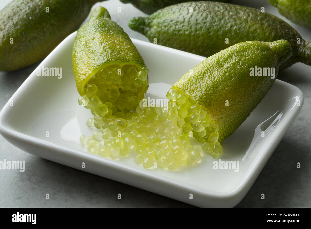 Pearls of australia hires stock photography and images Alamy