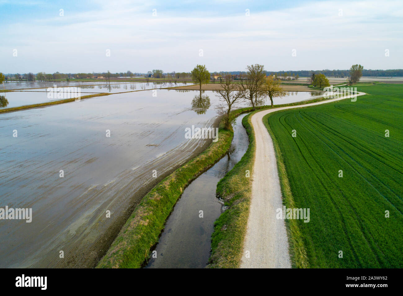 Flooded fields for rice cultivation in the Po Valley, Italy. Panoramic aerial view. Typical countryside landscape of northern Italy with dirt roads, f Stock Photo