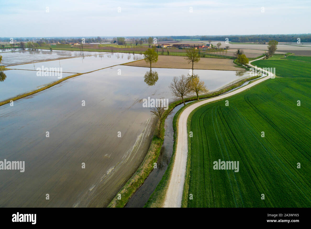 Flooded fields for rice cultivation in the Po Valley, Italy. Panoramic aerial view. Typical countryside landscape of northern Italy with dirt roads, f Stock Photo