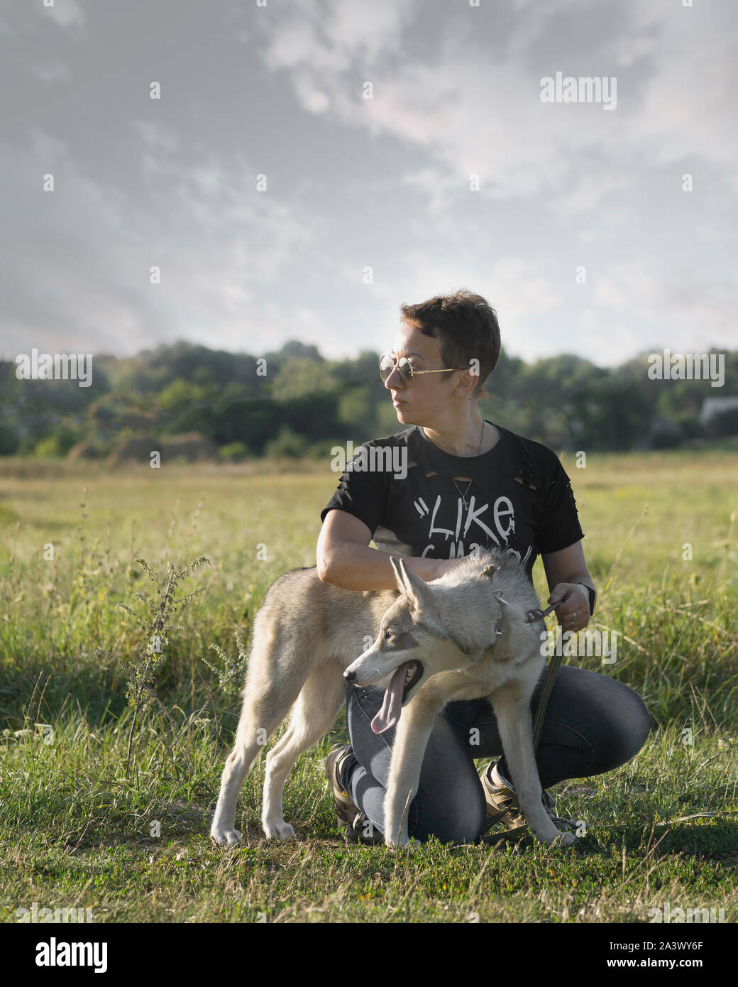 Short Hair Dogs Stock Photos Short Hair Dogs Stock Images Alamy