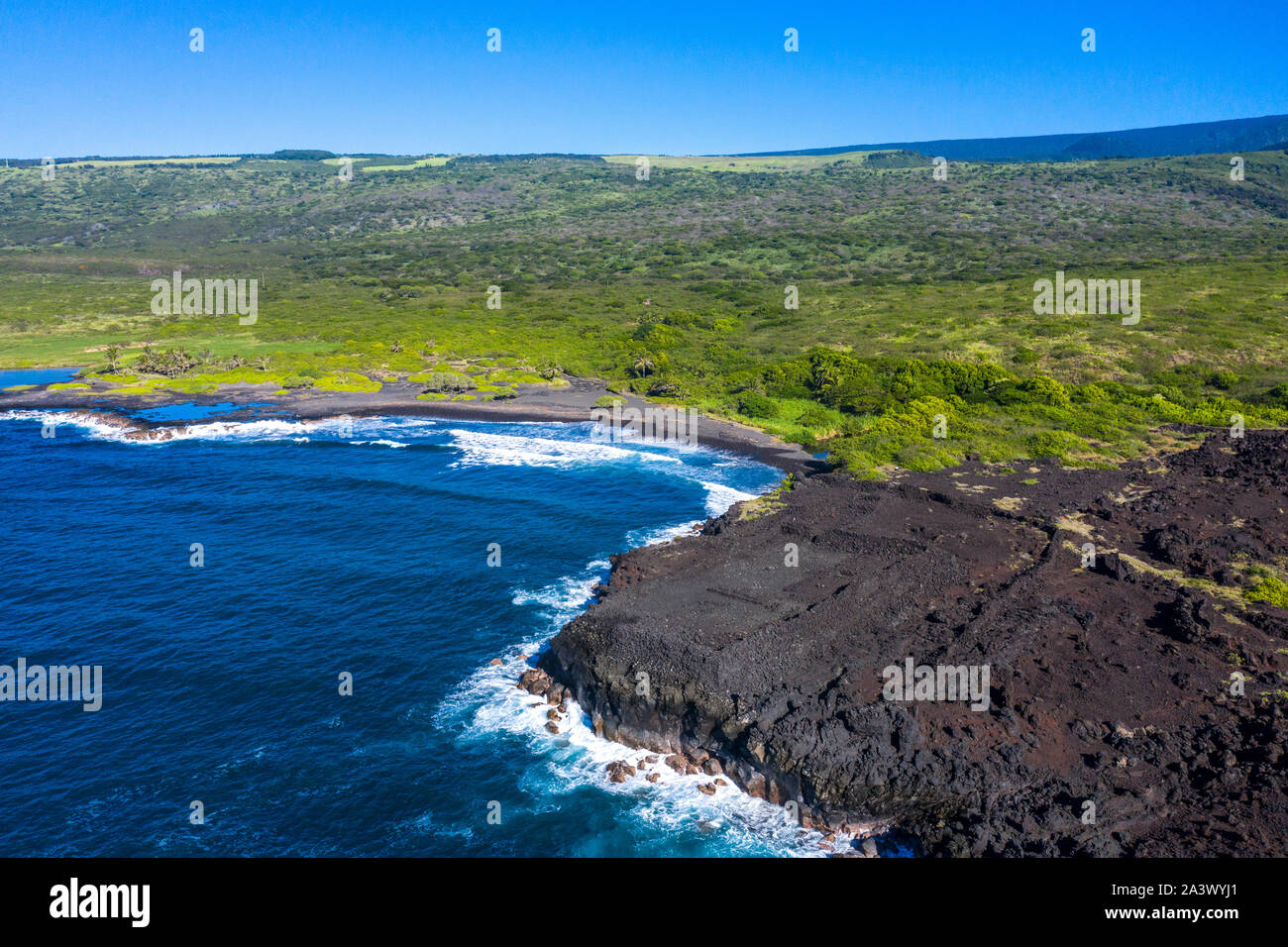 Kawa High Resolution Stock Photography and Images Alamy