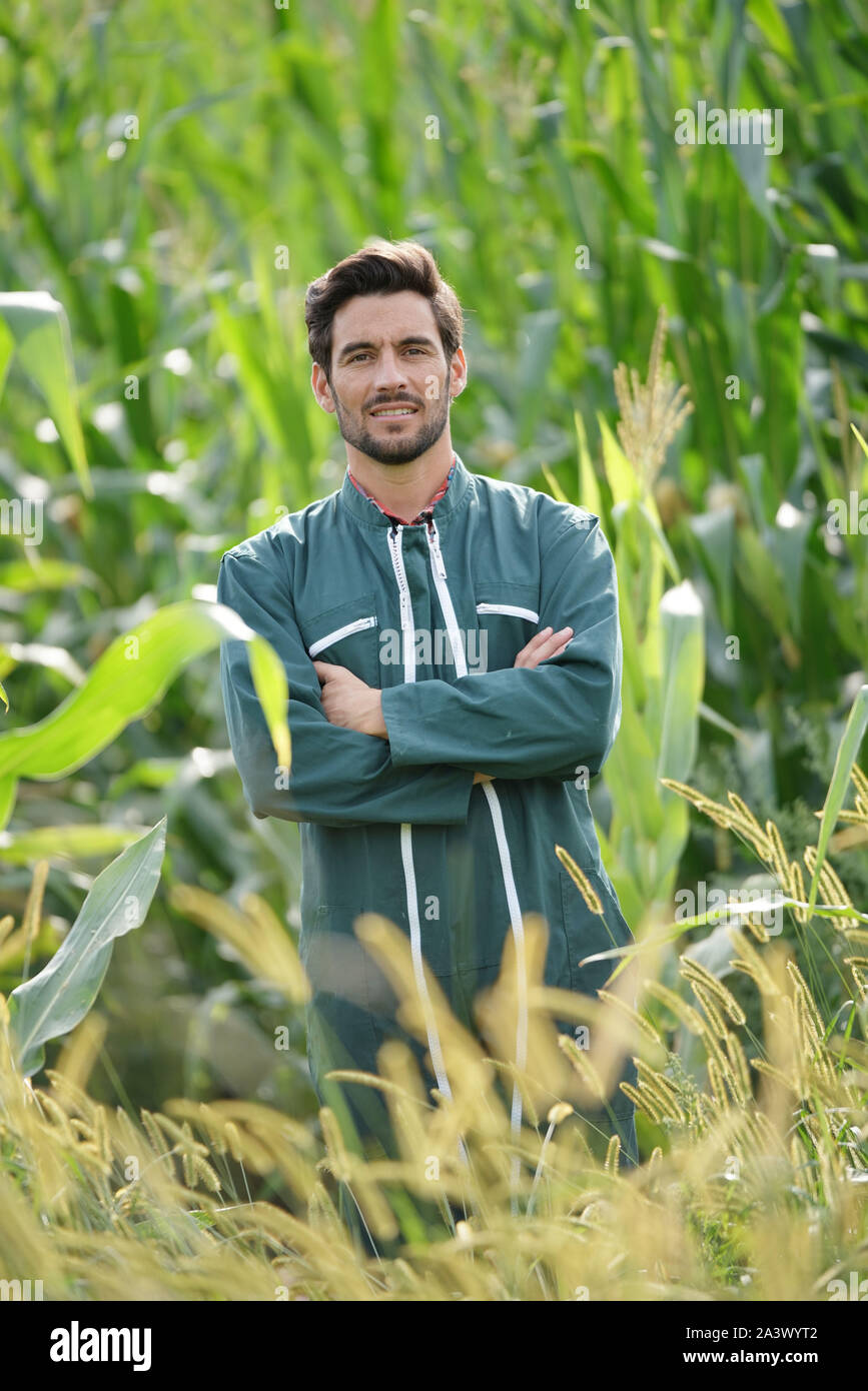 Farmer controlling corn crop hi-res stock photography and images - Alamy