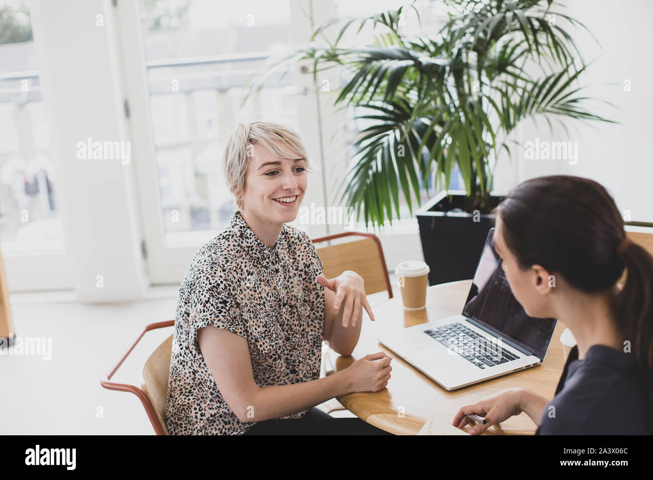 Young female businesswomen in a meeting Stock Photo