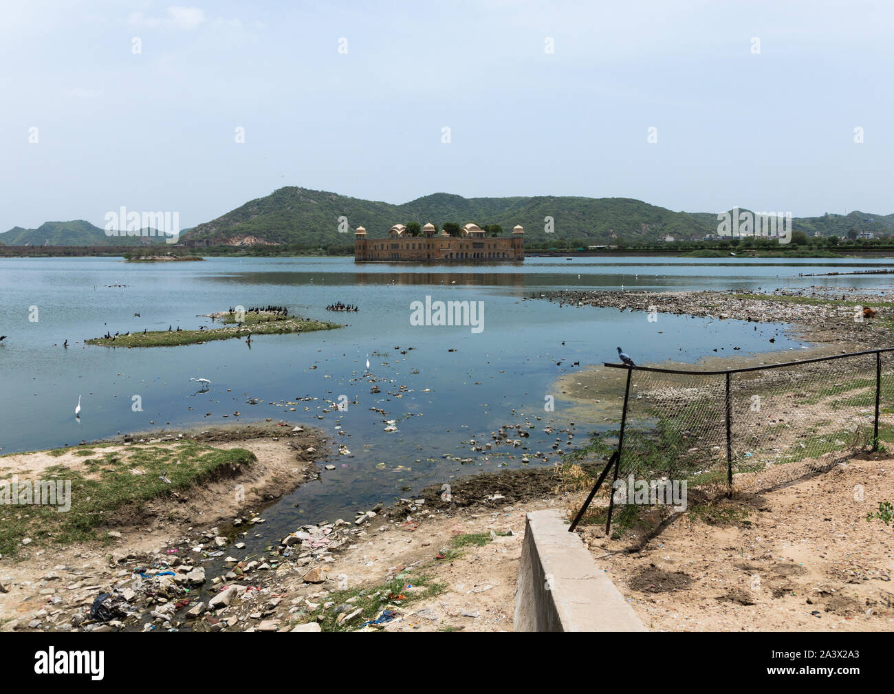 Pollution and garbages in front of jal mahal water palace on man sagar