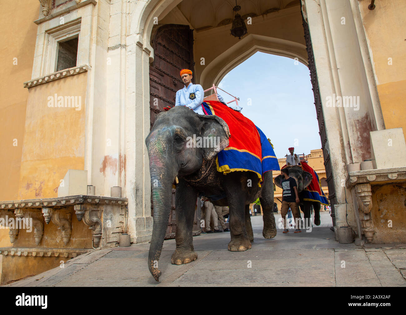 Elephant ride in Amer fort and palace, Rajasthan, Amer, India Stock