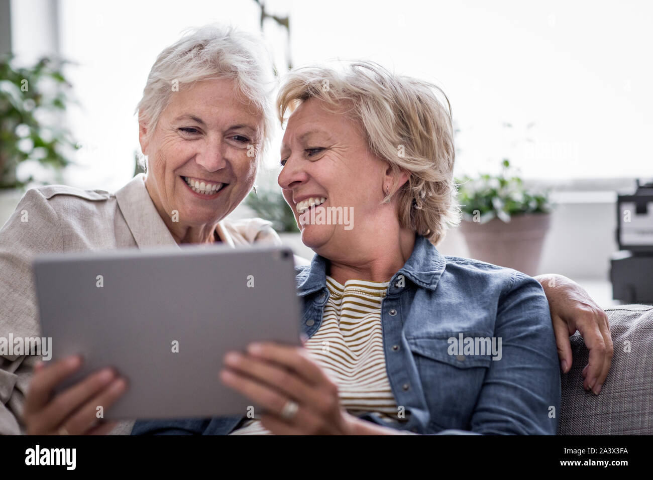 Mature lesbian couple looking at digital tablet together on sofa Stock Photo