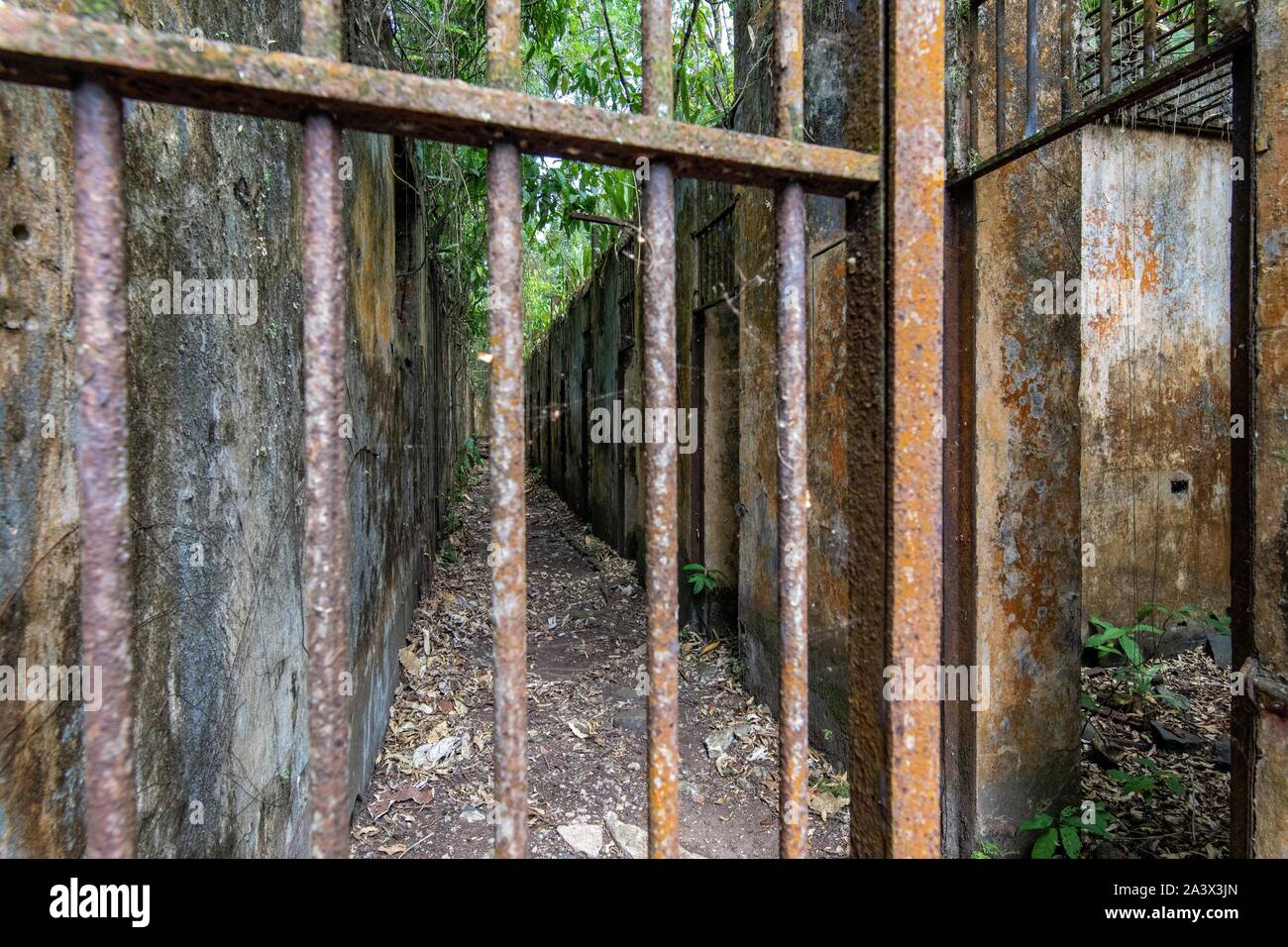 PRISONERS' CELLS, ABANDONED RUINS OF THE FORMER PENAL COLONY ON ILE
