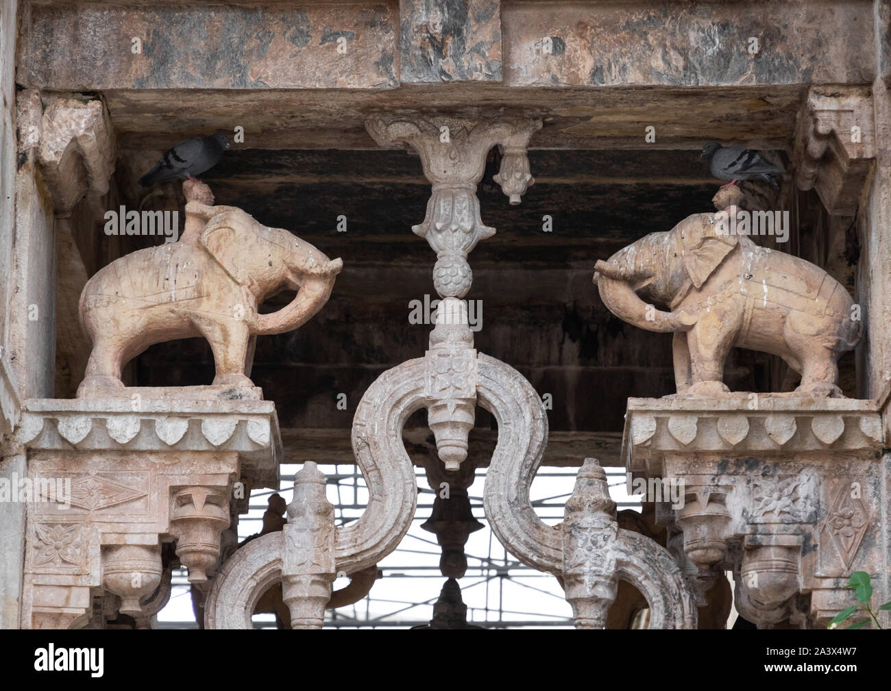 Elephants statutes in Raniji ki baori called the queen's stepwell, Rajasthan, Bundi, India Stock Photo