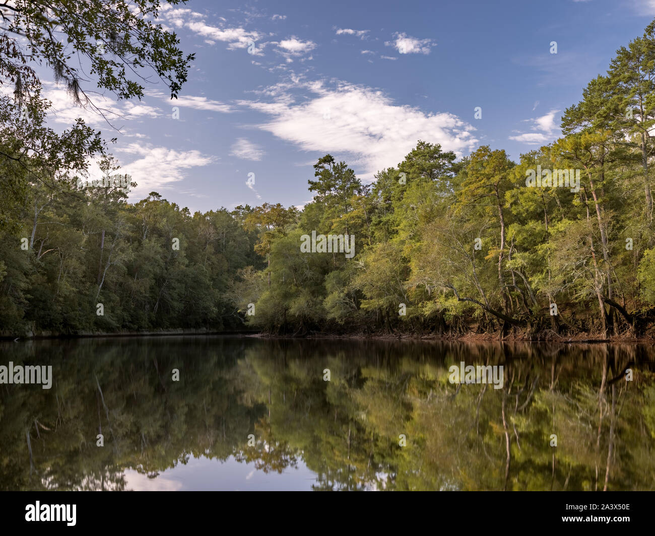 Edisto River High Resolution Stock Photography And Images Alamy
