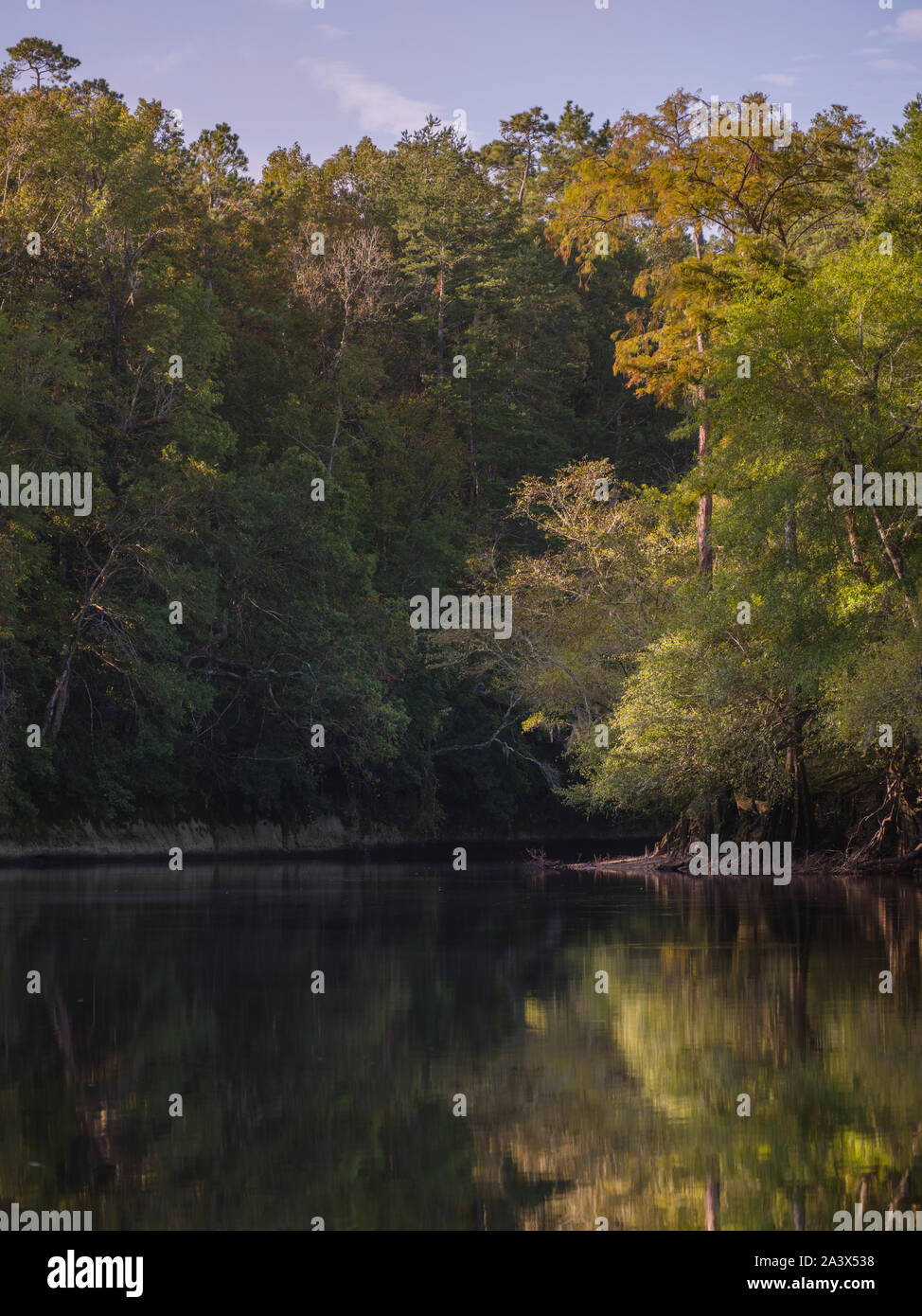 Edisto River High Resolution Stock Photography And Images Alamy