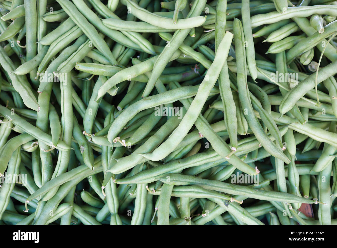 Fresh green beans close up Stock Photo