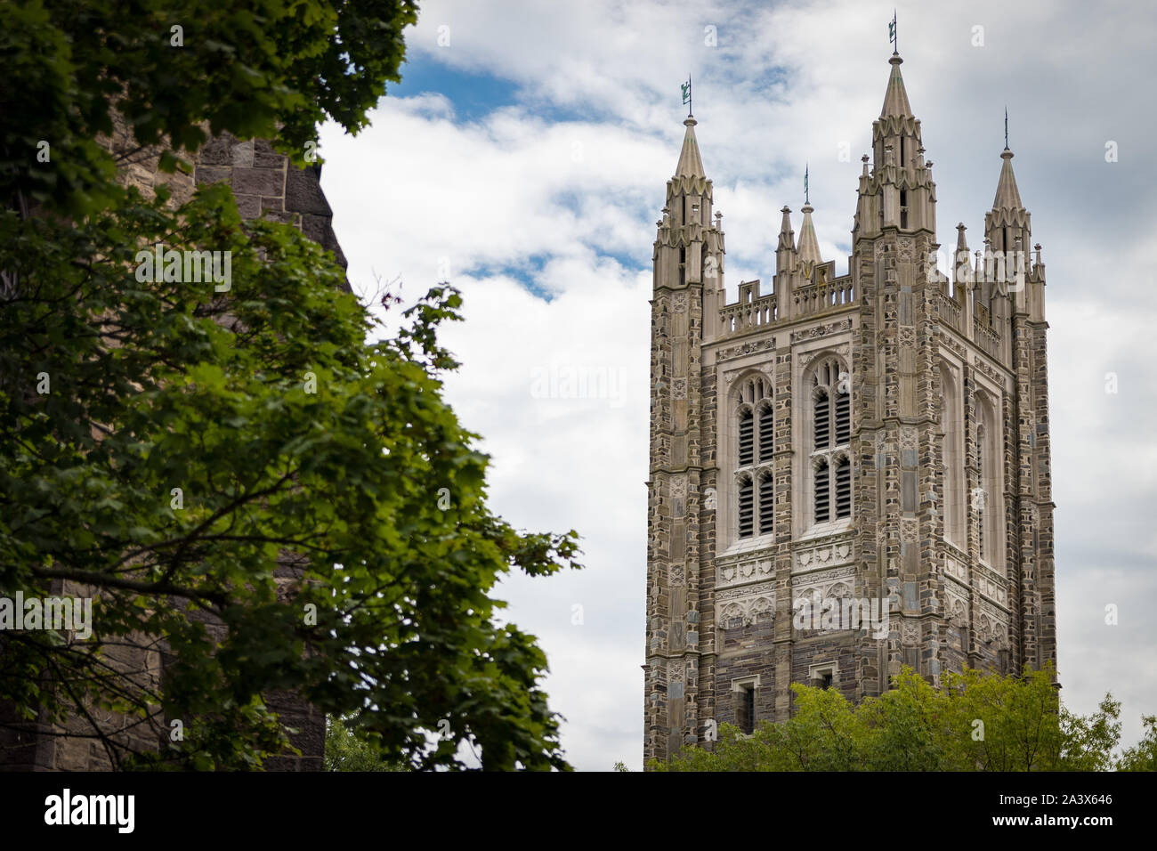 Cleveland Tower, Princeton University; ivy and greenery in foreground Stock Photo