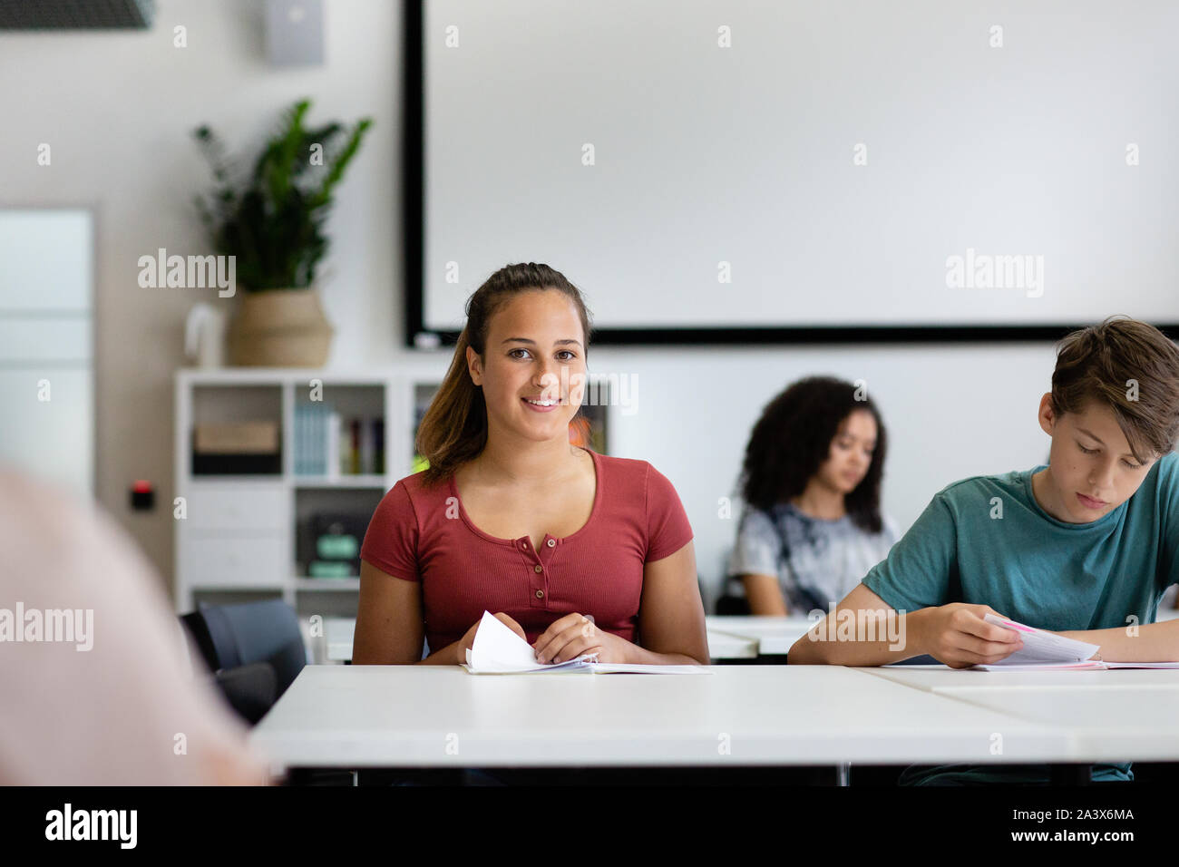 Portrait of female high school student in class Stock Photo