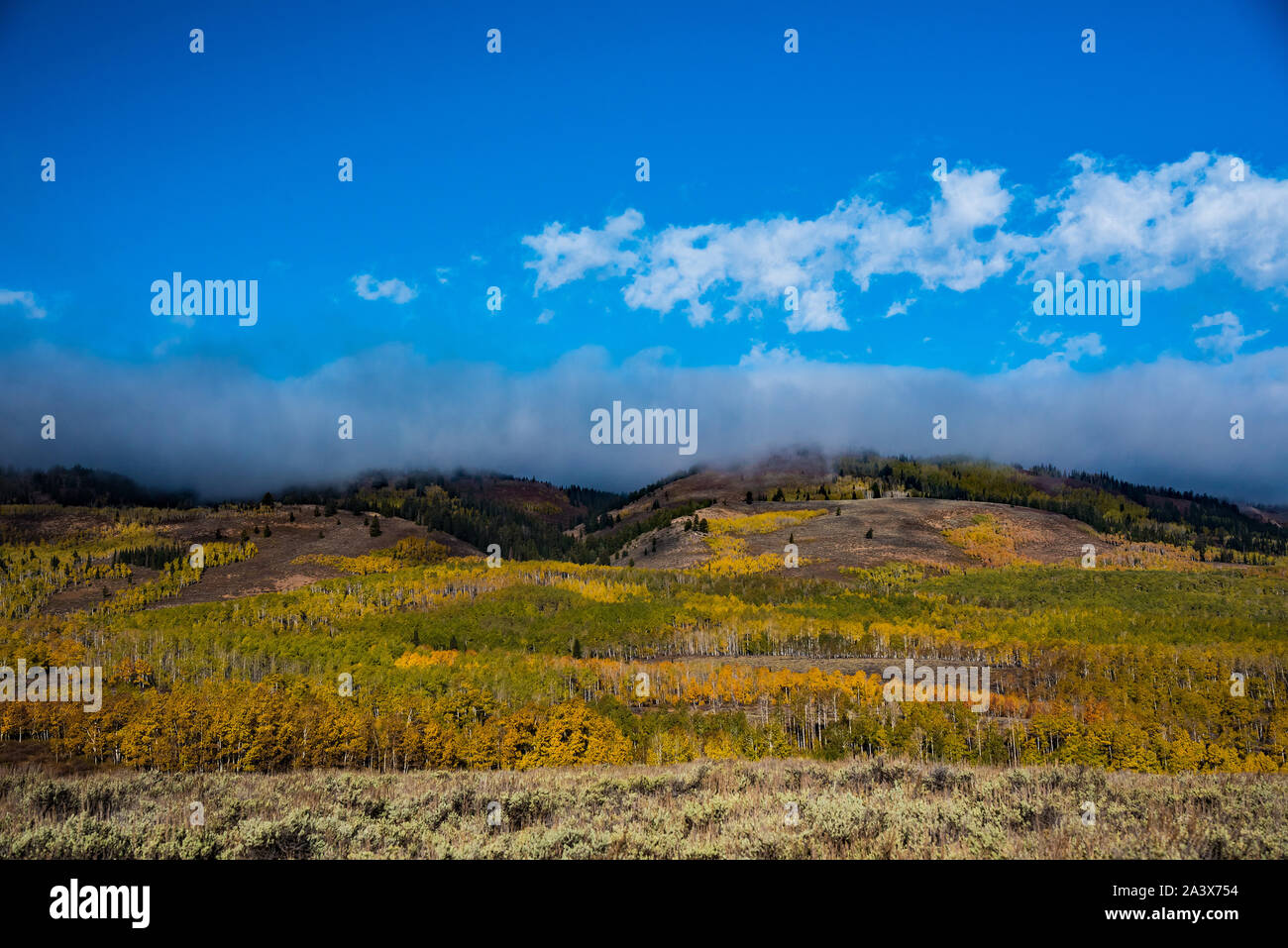 Transition Month High Resolution Stock Photography and Images - Alamy
