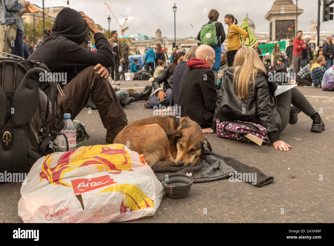 Trafalgar Square, London, UK. 10th Oct 2019. Scenes around Trafalgar
