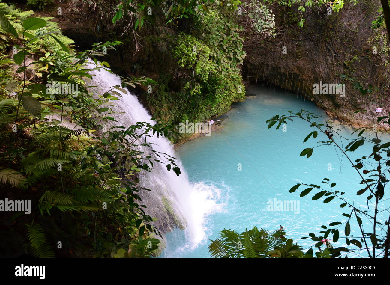 The view of the jungle and waterfall Stock Photo