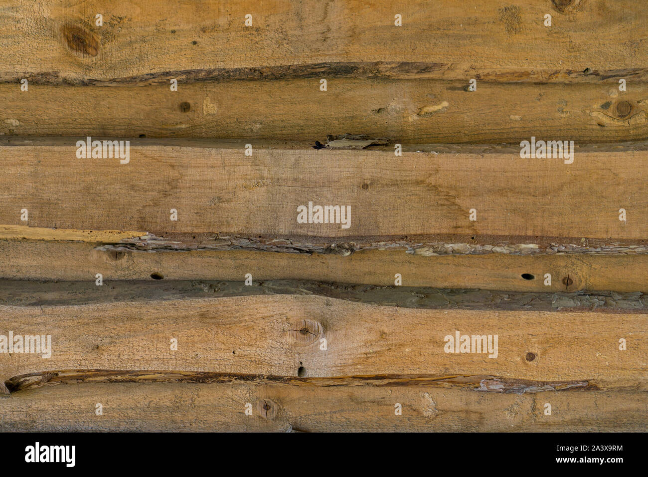 Rough processed tree trunks as texture, background and pattern. Badly ...