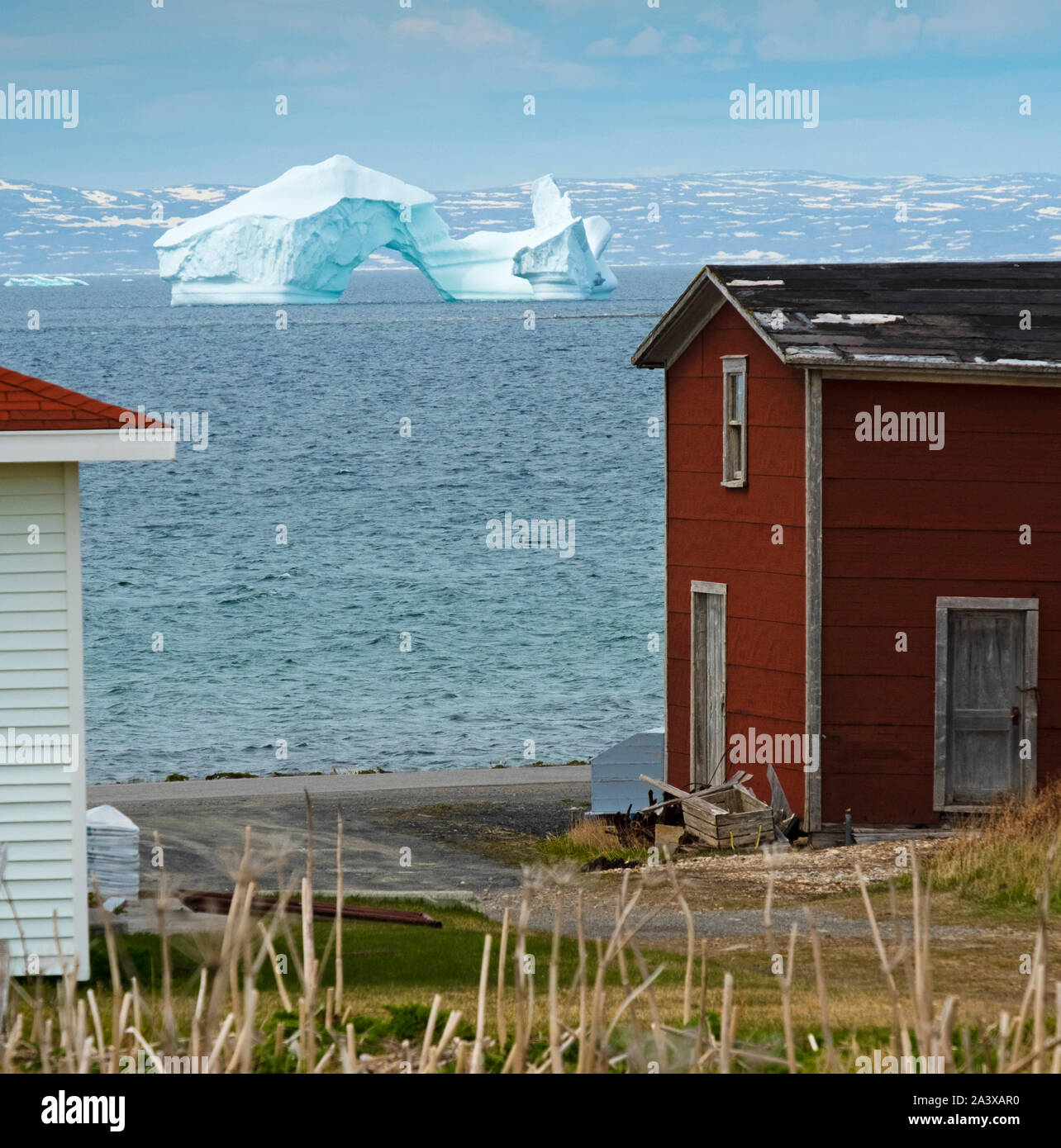 Iceberg at Green Island Cove with red barn in foreground, Newfoundland Stock Photo