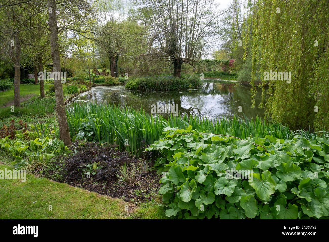 Westonbury Mill water gardens, Herefordshire, England Stock Photo Alamy