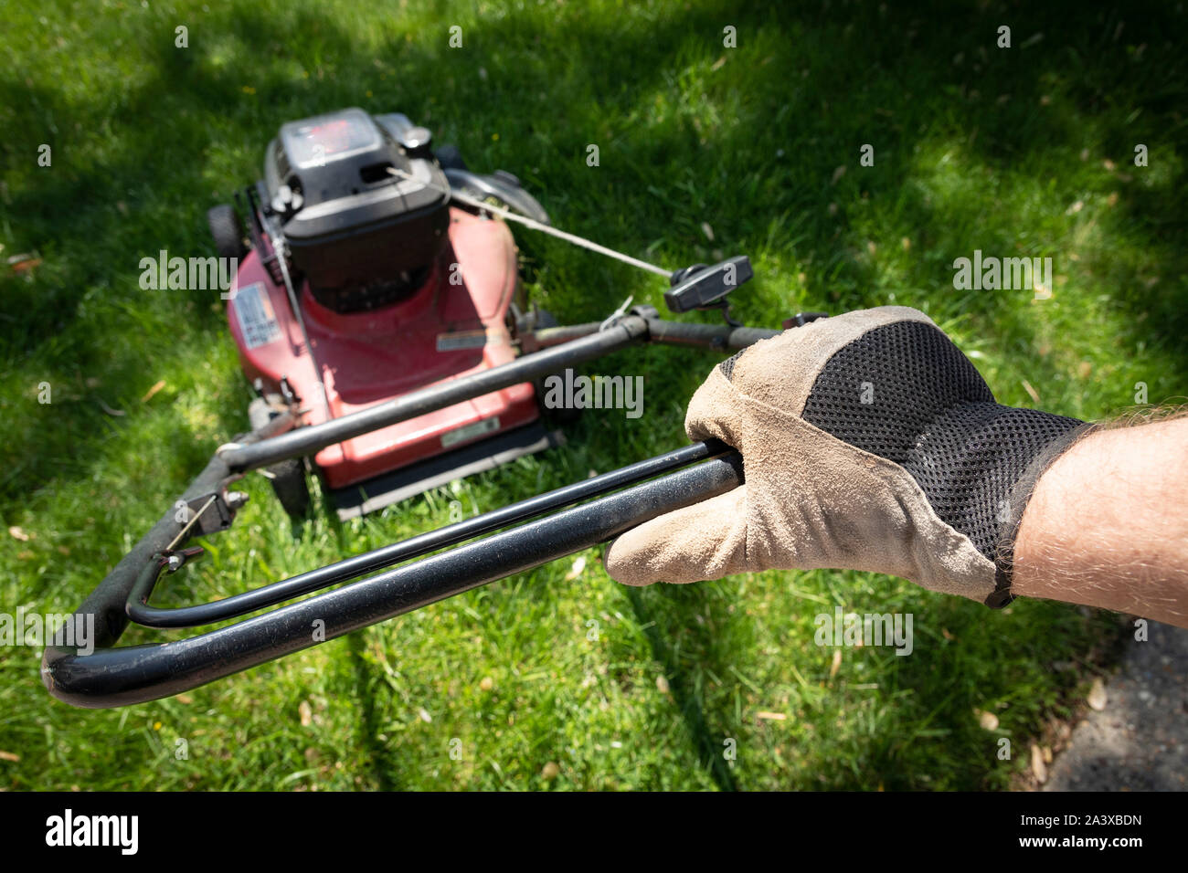 Hand in glove pushing lawnmower through green grass. Stock Photo